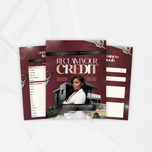 Reclaim Your Credit Ebook PLR with MRR